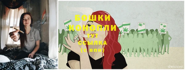 эйфоретик Новозыбков