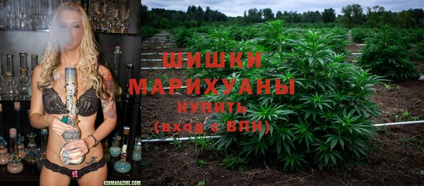 гидра Новокубанск