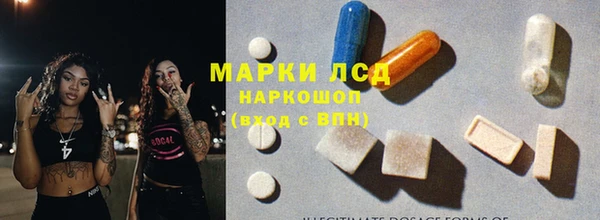 спиды Новодвинск