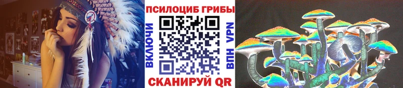 Псилоцибиновые грибы Magic Shrooms наркотики Болхов